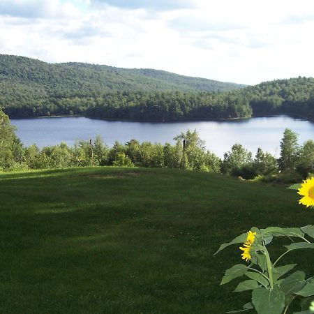Hummingbird Hill Stoddard Bagian luar foto