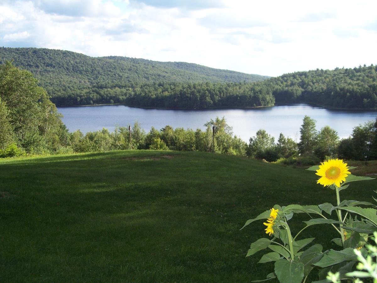 Hummingbird Hill Stoddard Bagian luar foto