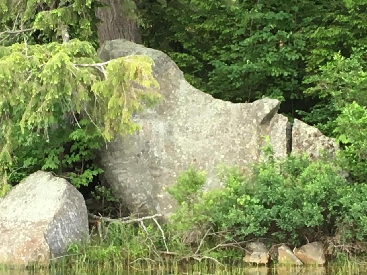 Hummingbird Hill Stoddard Bagian luar foto