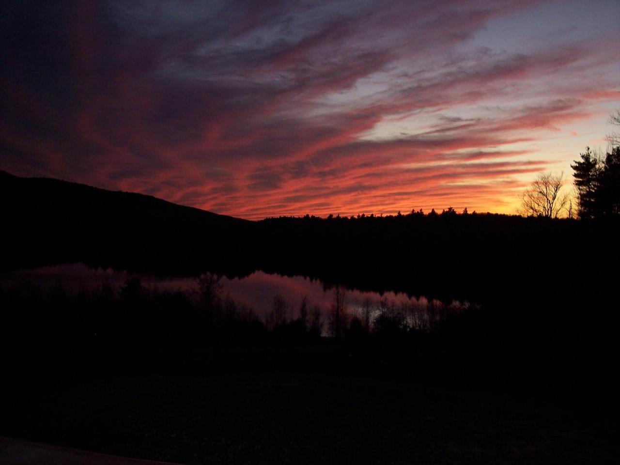 Hummingbird Hill Stoddard Bagian luar foto